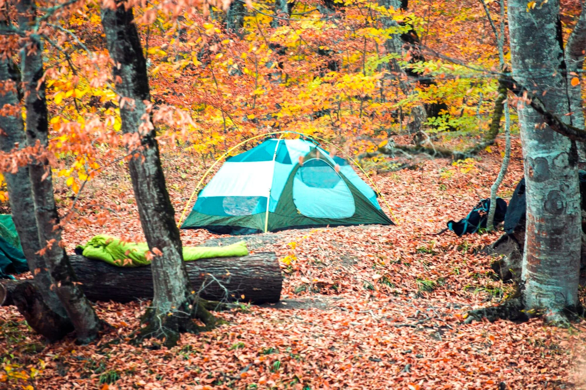Camping à la Toussaint : 8 conseils pour profiter de l'automne
