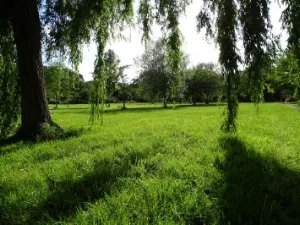 Aire Naturelle De Camping  À La Ferme  L'Ilot — Saint-Augustin