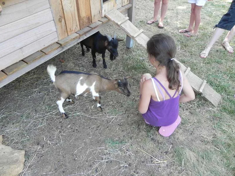 Camping 4 étoiles l'Offrerie in Rouffignac-st-cernin — Foto 7