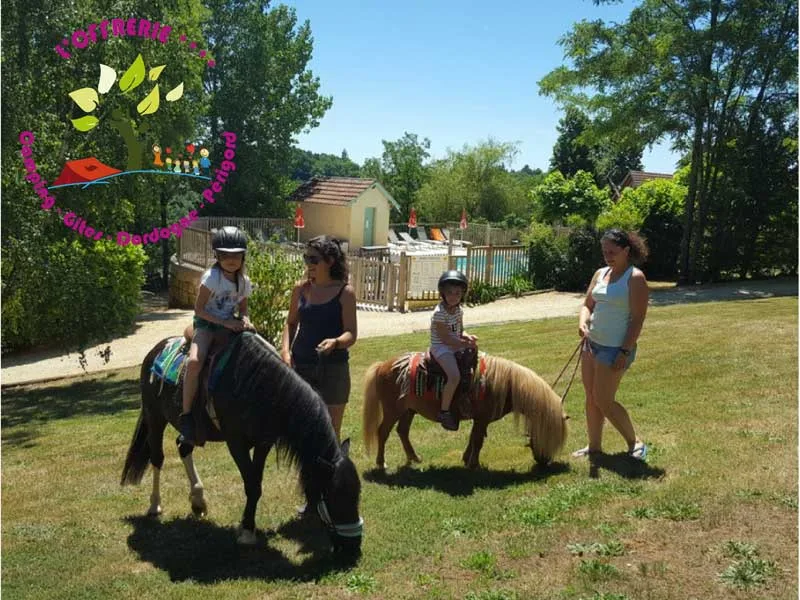 Camping 4 étoiles l'Offrerie in Rouffignac-st-cernin