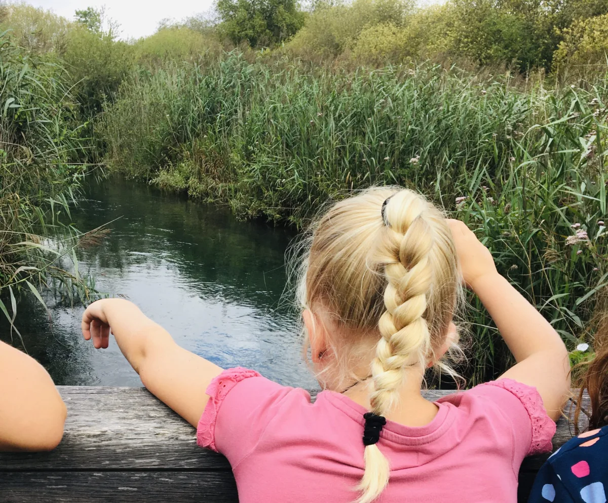 Camping Au Bois Joli — Andryes