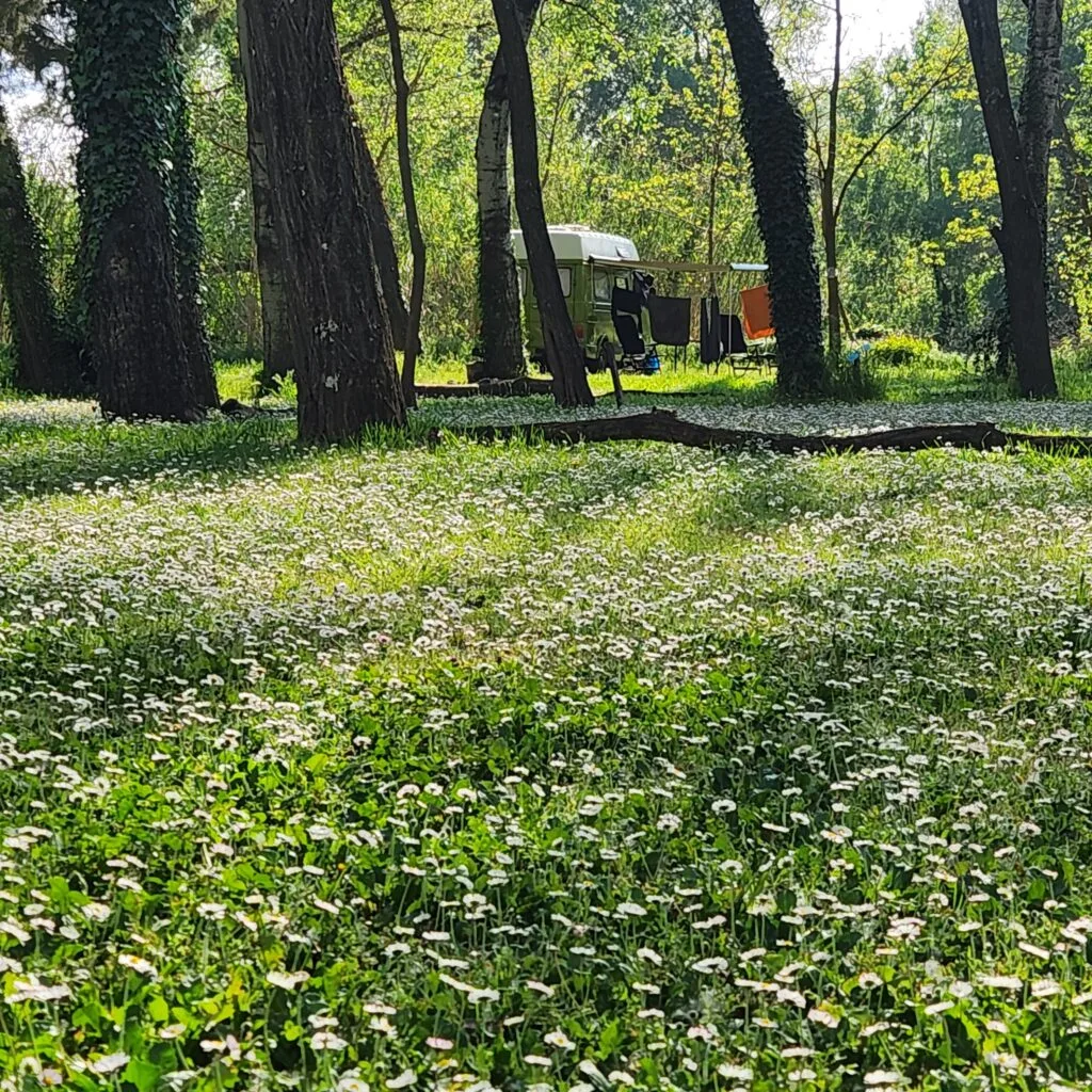 Camping Bellerive in Montfrin