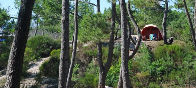 Camping CHM Montalivet in Vendays-Montalivet