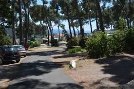 Camping de Ceyreste — Foto 5