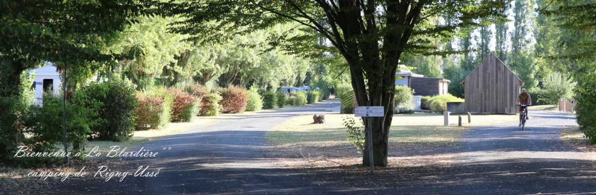 Camping De La Blardière — Rigny-Ussé