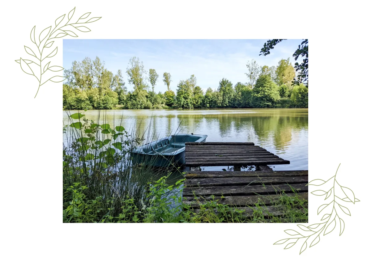 Camping De La Jamonière — Mervent