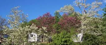 Camping de Marciac