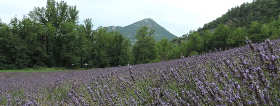Camping De Trente Pas in Saint-Ferréol-Trente-Pas
