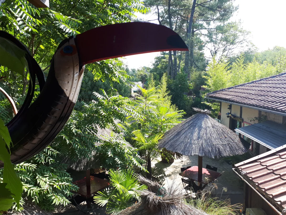 Camping Des Forges — Ychoux