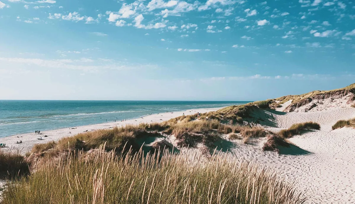 Camping Des Pins in Soulac-sur-Mer