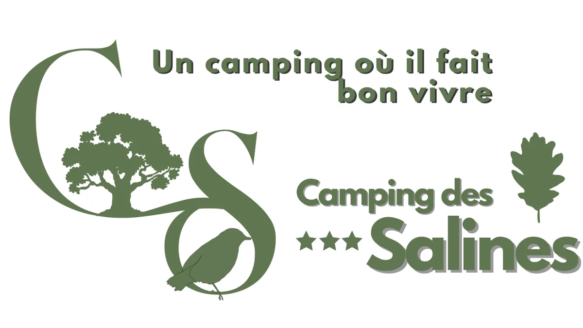 Camping Des Salines — Salies-De-Béarn