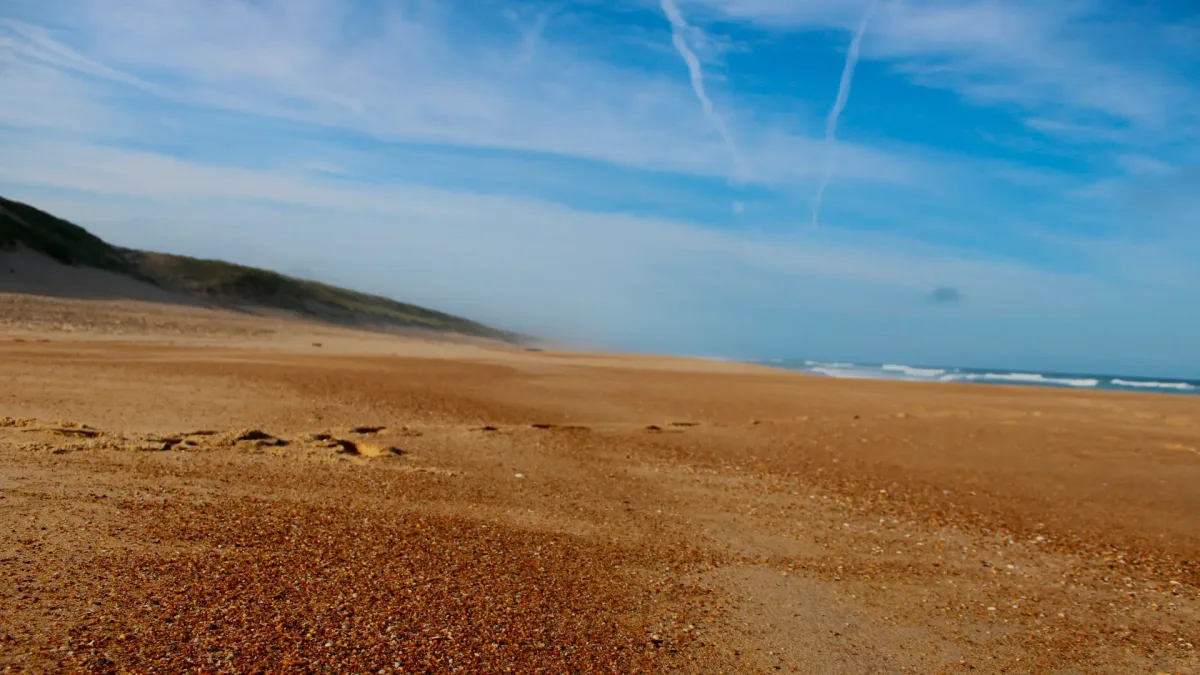Camping Du Cap De L'Homy — Lit-Et-Mixe