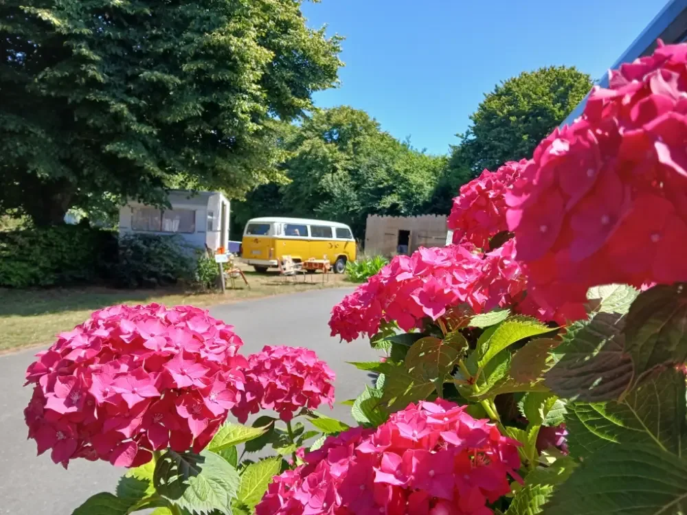 Camping Du Domaine Des Jonquilles in Saint-Alban