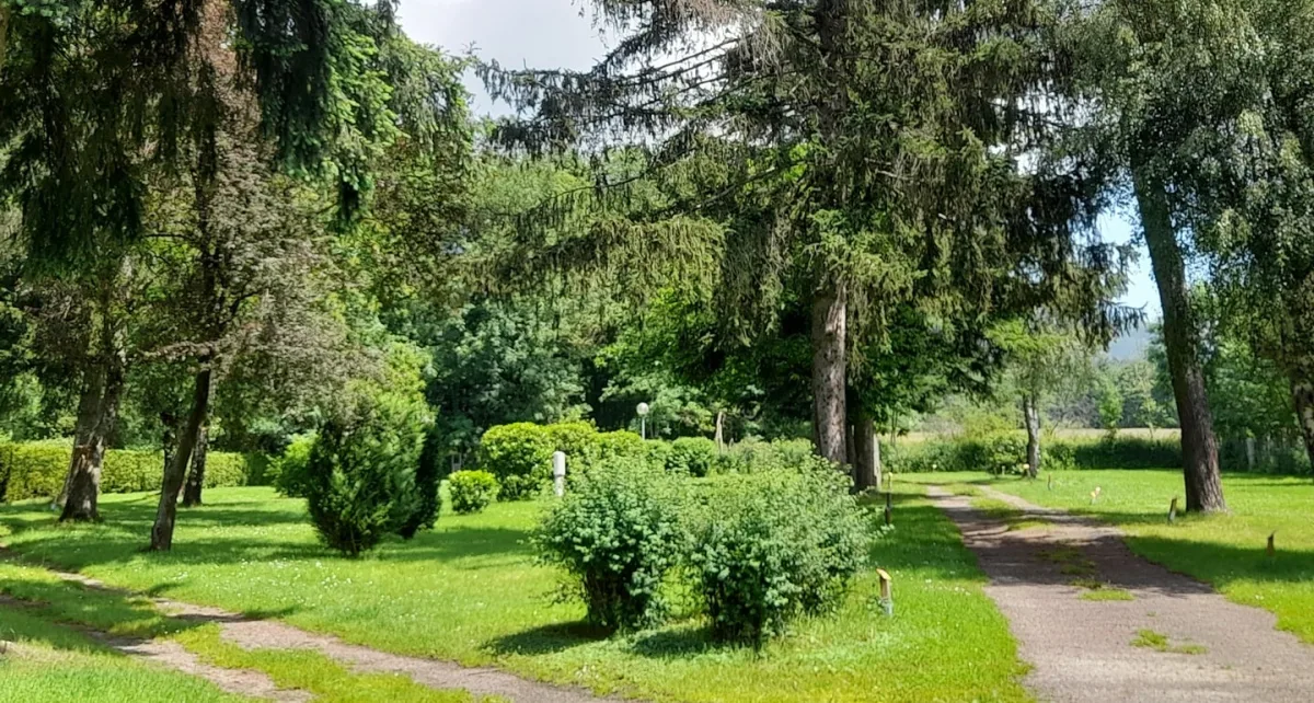 Camping Du Haut-Koenigsbourg in Lièpvre