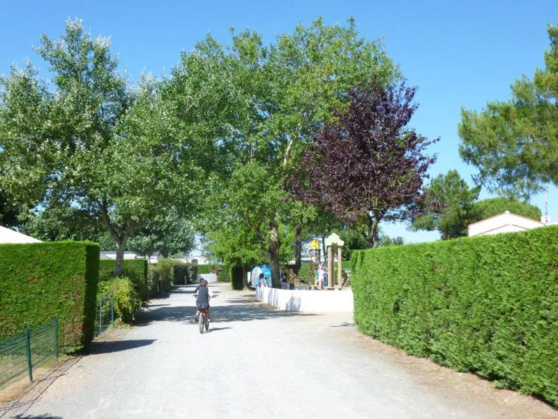 Camping Europa in Givrand — photo 9