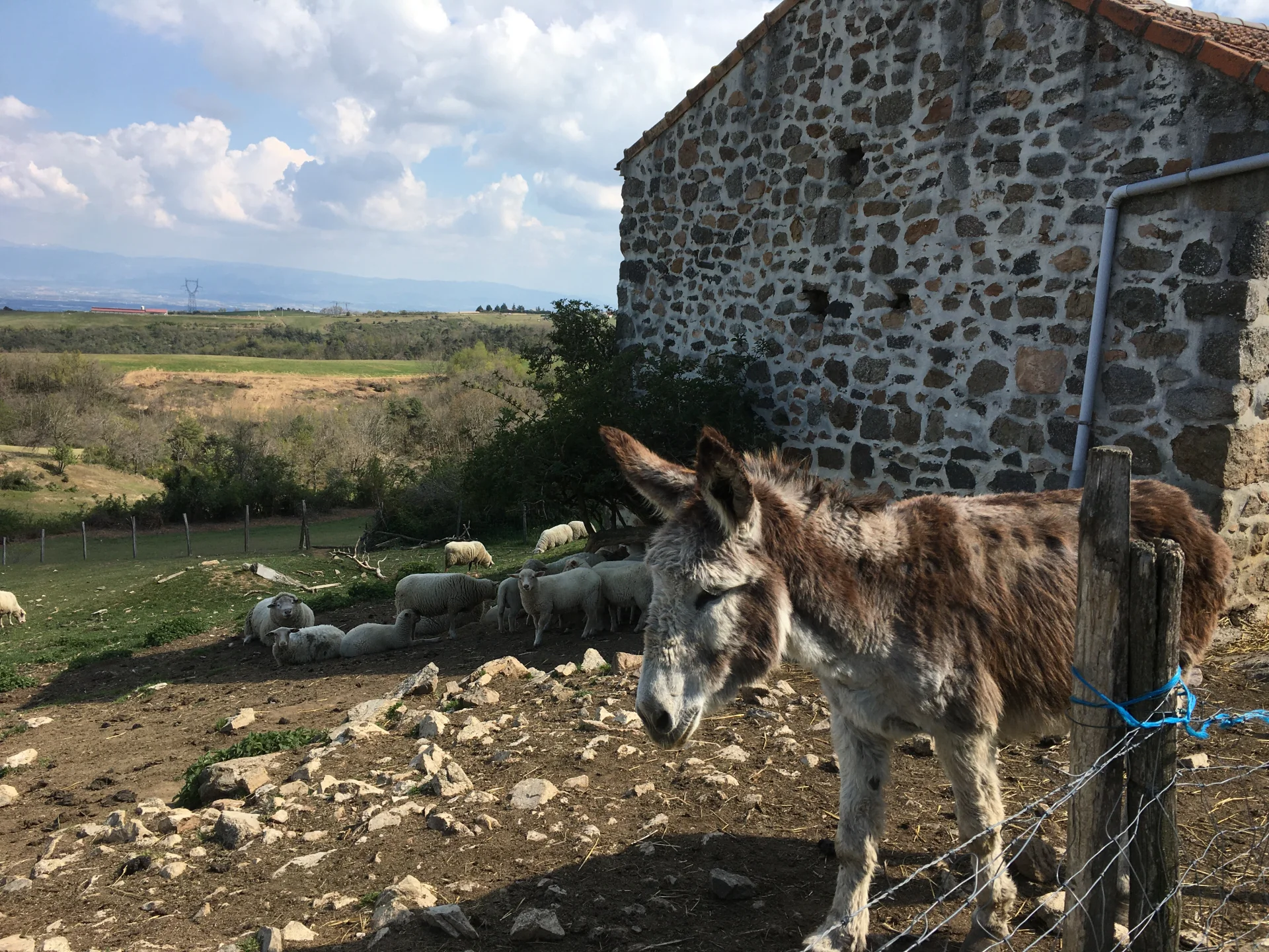 Camping Ferme De Simondon in Plats — Foto 5