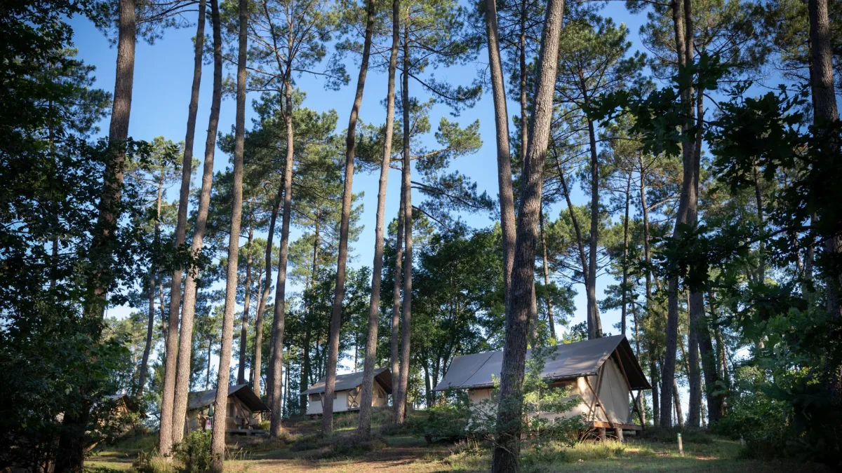 Camping Huttopia Landes Sud in Saint-Michel-Escalus
