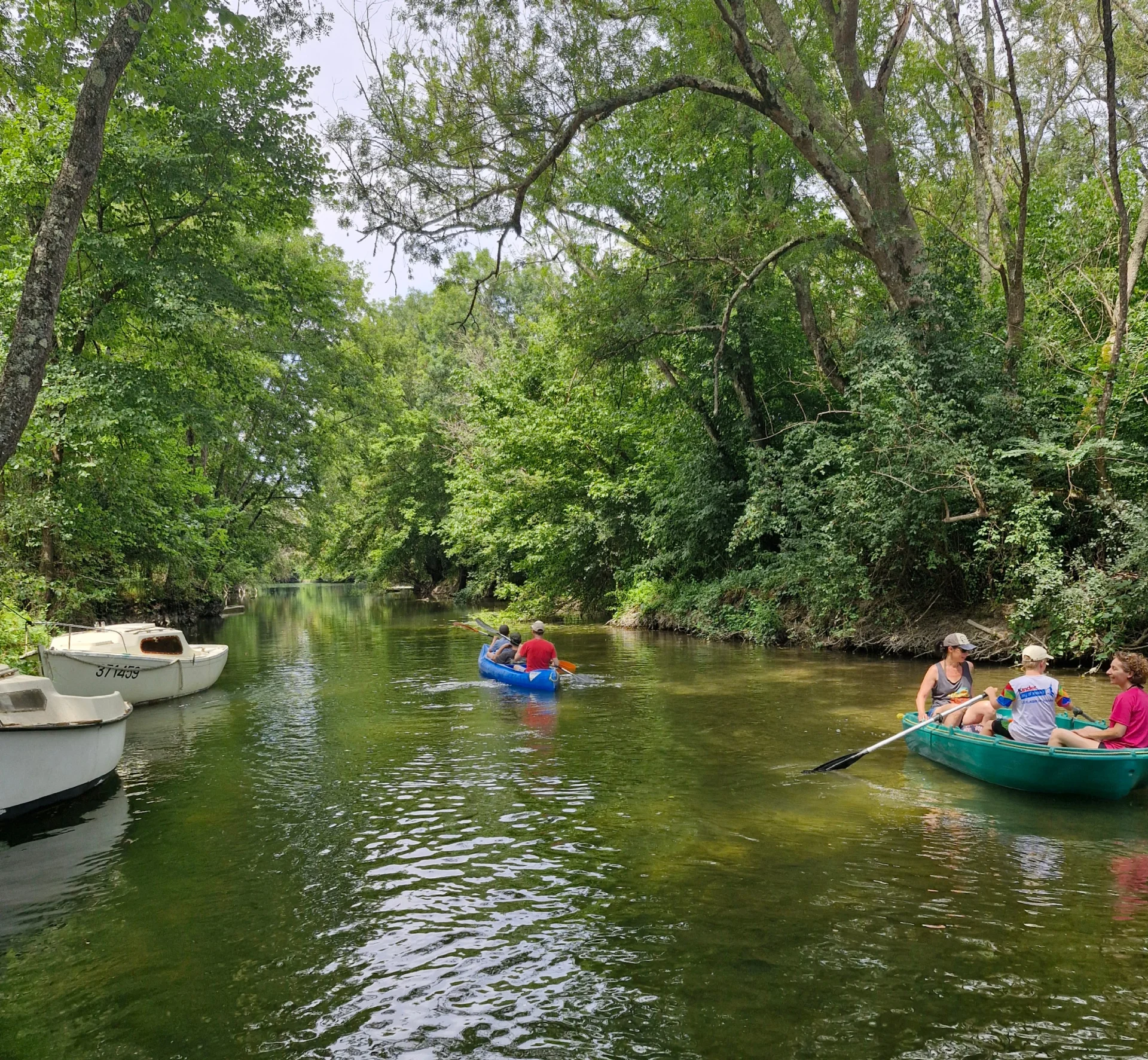 Camping L'Eau Vive in Les Églisottes-et-Chalaures — Foto 8