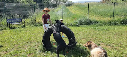 Camping L'Escale Occitane à Alzonne — photo 2
