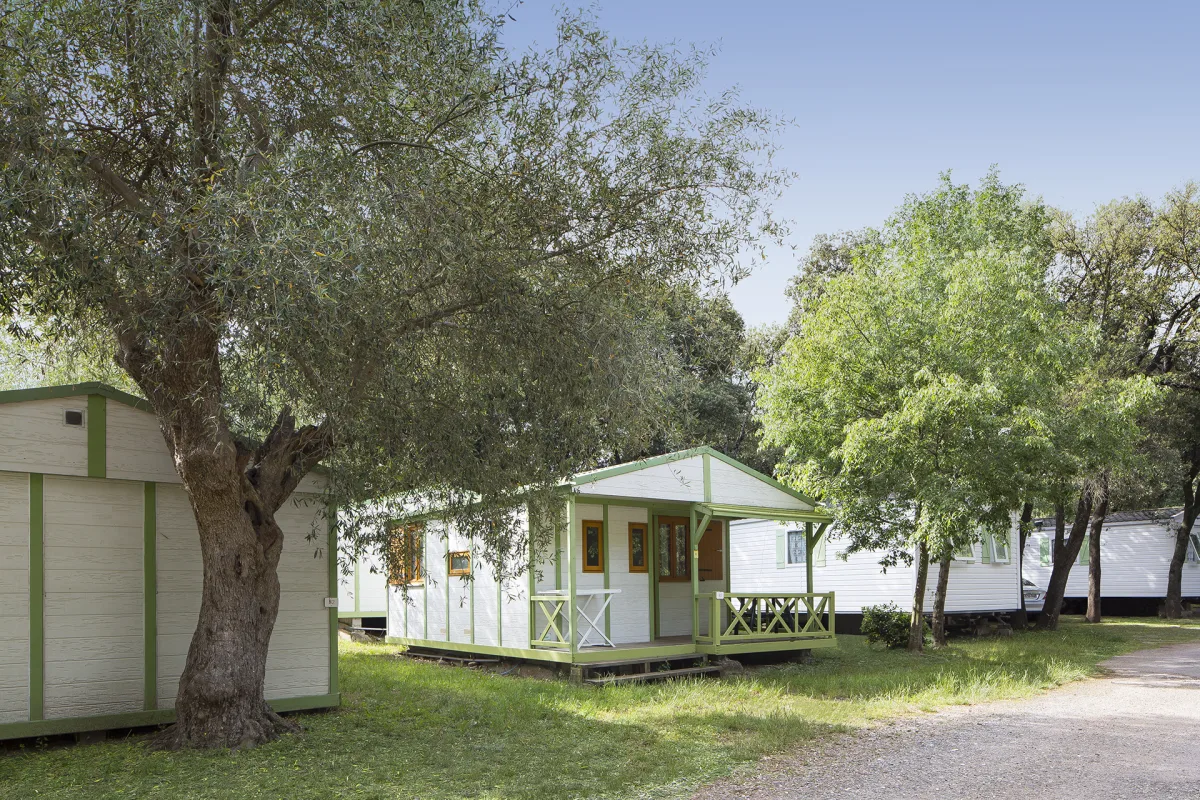 Camping L'Olivette in Le Boulou