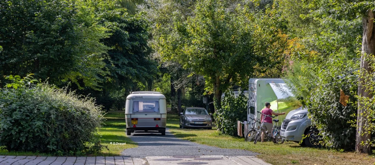 Camping L'Orée Des Boires in Orée D'Anjou