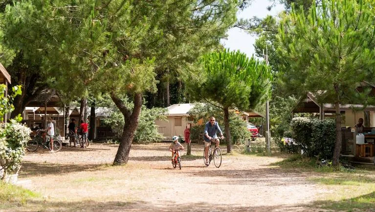 Camping La Côte Sauvage in Saint-Clément-des-Baleines