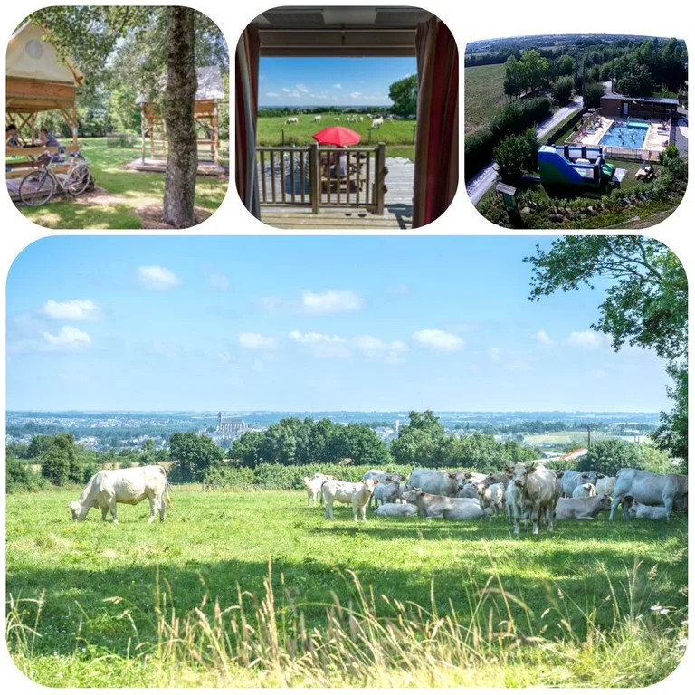 Camping La Guyonnière — Mauges-Sur-Loire
