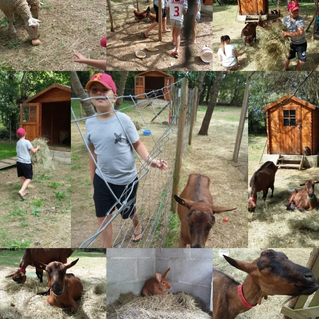 Camping La Source en Ardèche in Berrias — Foto 4