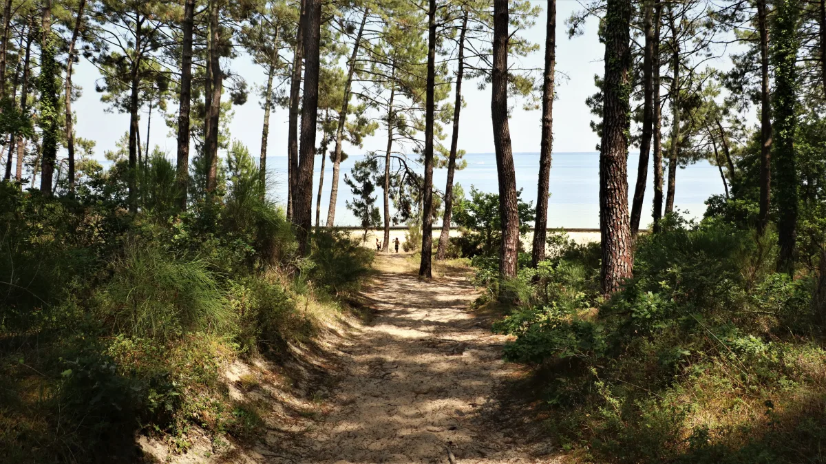 Camping Las Chancas in Sainte-Eulalie-en-Born