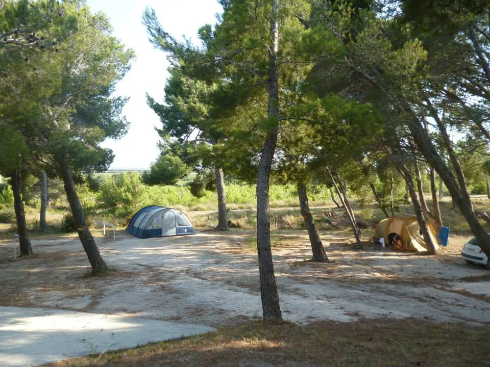 Camping Le Bois de Pins in Salses-le-Château — Foto 4