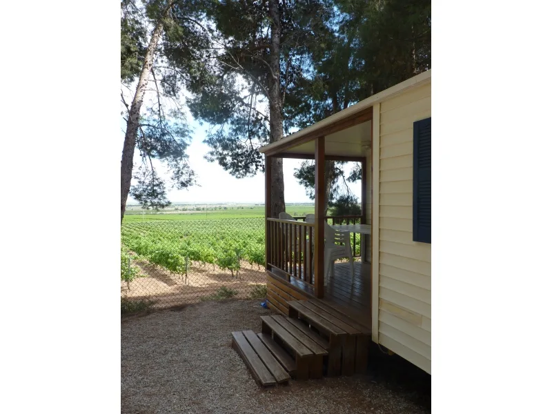 Camping Le Bois de Pins in Salses-le-Château — Foto 2