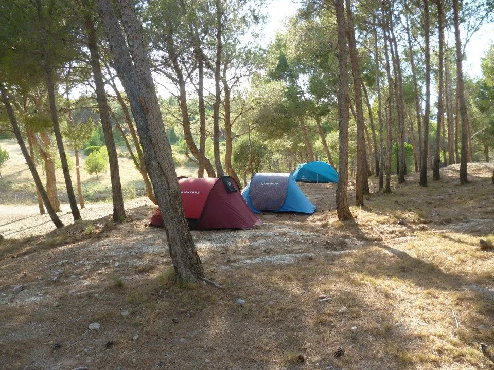 Camping Le Bois de Pins in Salses-le-Château — Foto 5