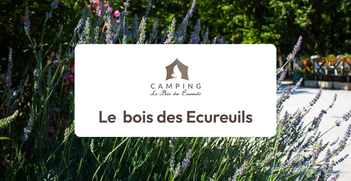 Camping Le Bois Des Écureuils — Domazan