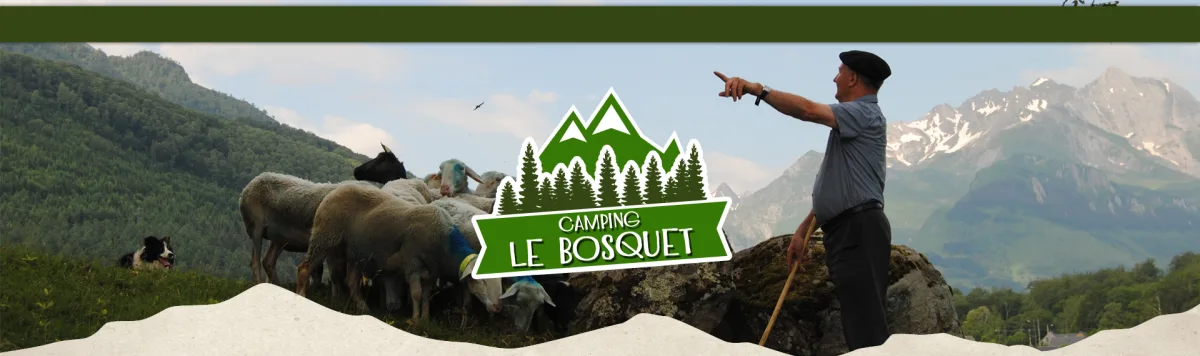 Camping Le Bosquet in Bun