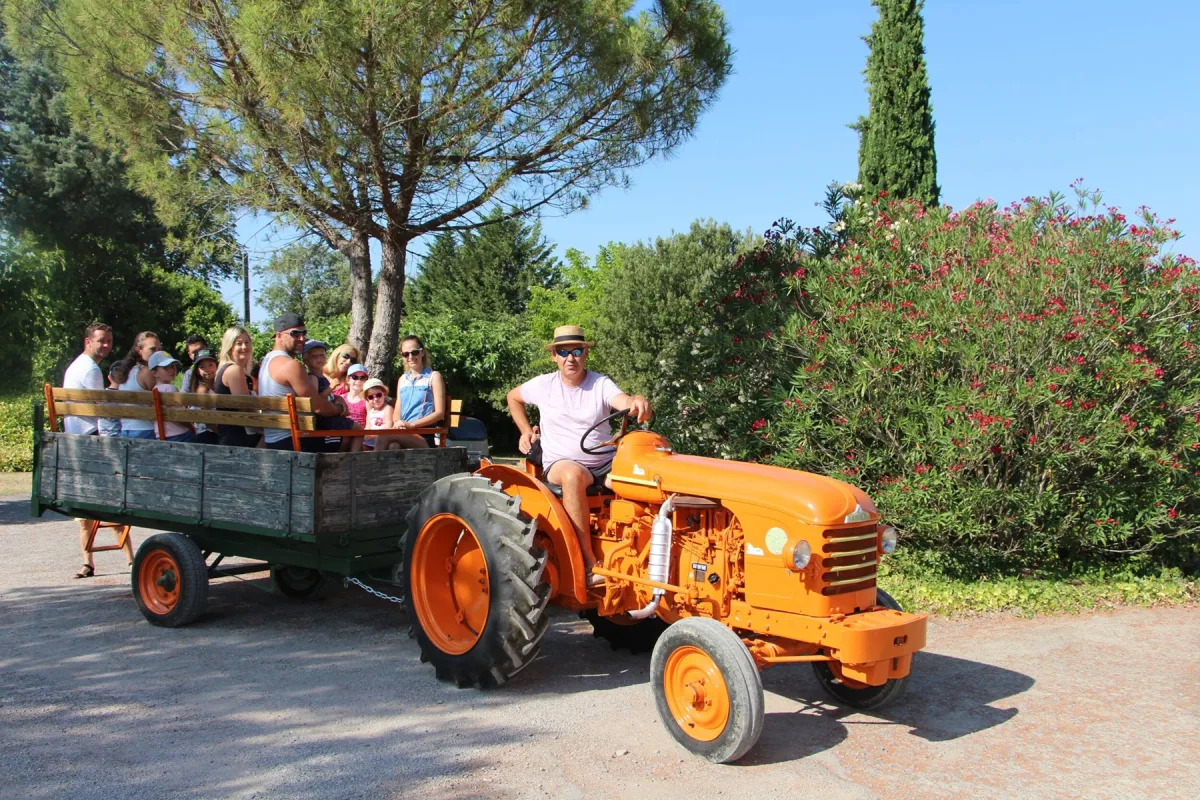 Camping Le Chamadou — Saint-Maurice-D'Ardèche