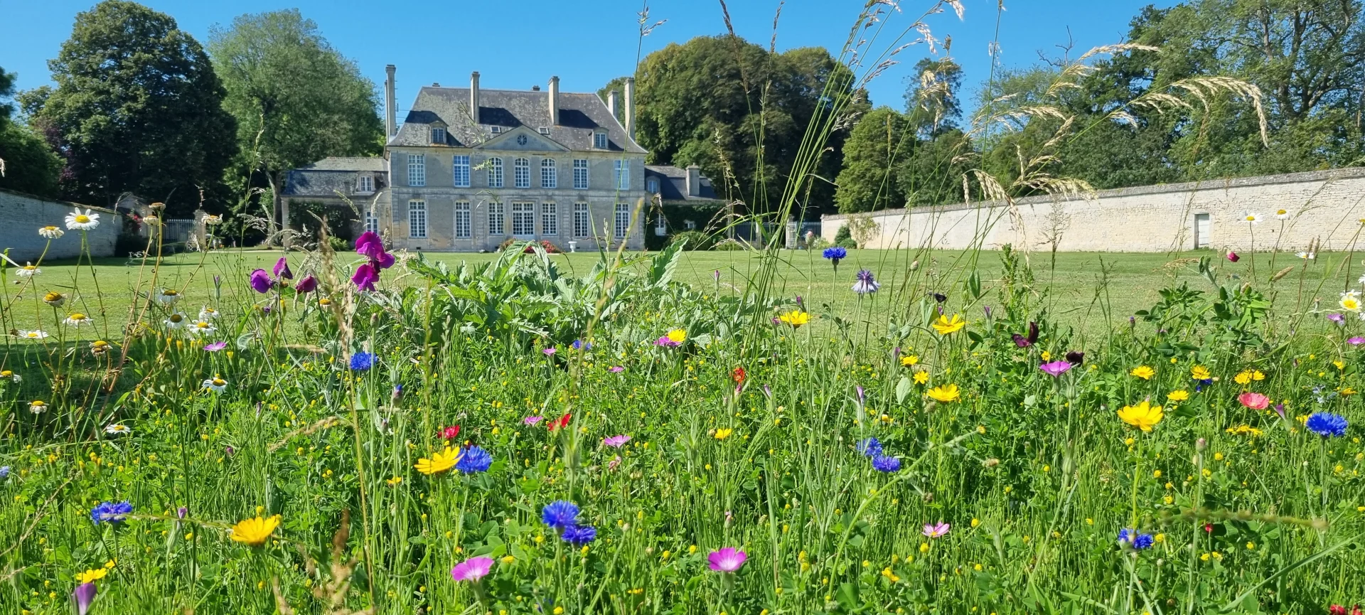 Camping Le Château De Martragny