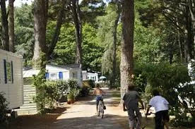 Camping Le Chateau du Petit Bois in Mesquer — Foto 2