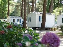 Camping Le Chateau du Petit Bois in Mesquer — Foto 3