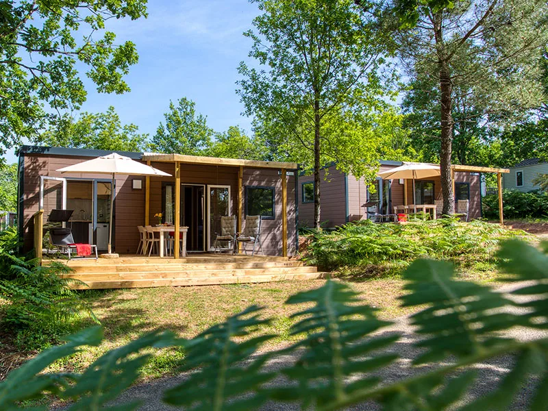 Camping Le Clou in Coux Et Bigaroque-Mouzens