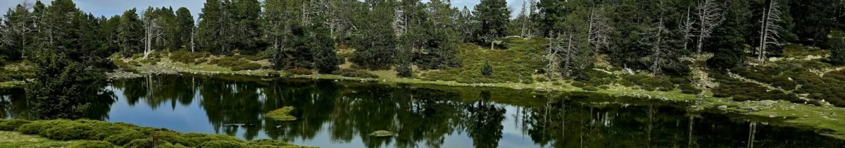 Camping Le Colomer in Ille-sur-Têt