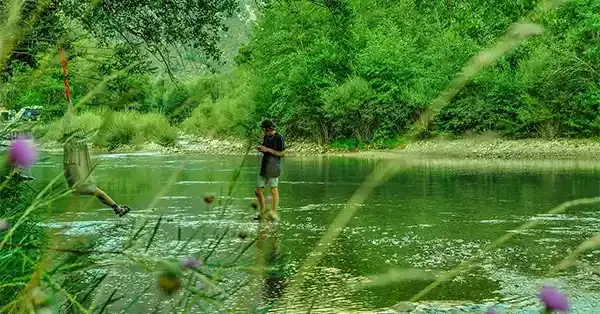 Camping Le Domaine Chasteuil-Provence in Castellane
