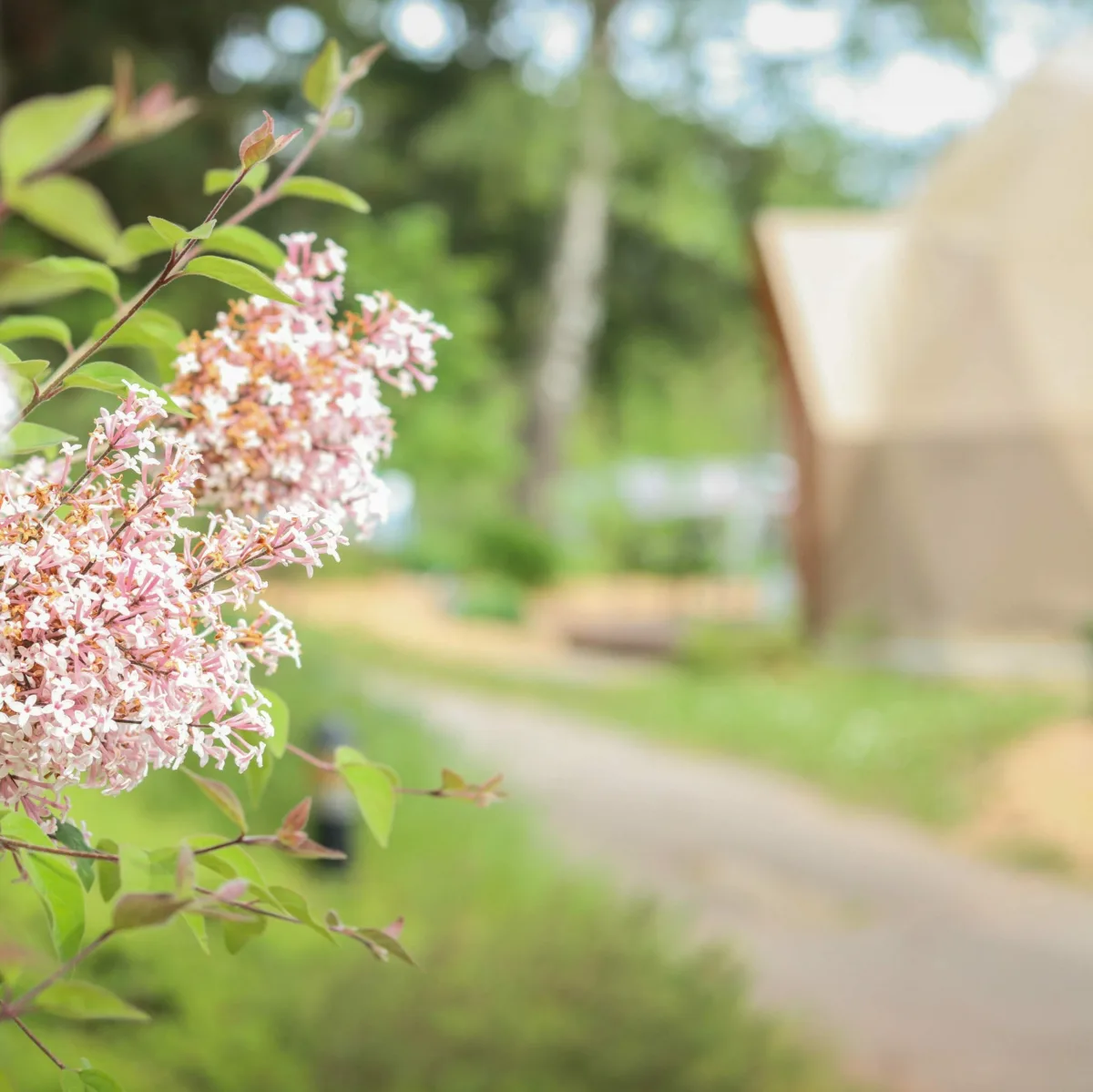 Camping Le Domaine Du Heidenkopf in Niederbronn-les-Bains
