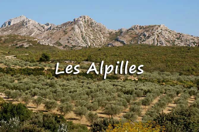 Camping le GARDIAN - Les Alpilles in Raphele les Arles — foto 2