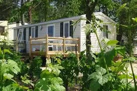 Camping Le Pressoir in Petit-Palais — foto 6