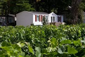 Camping Le Pressoir in Petit-Palais — foto 2