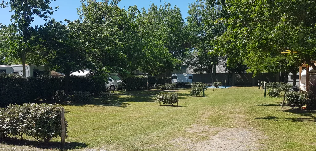 Camping Le Rieu in Marseillan