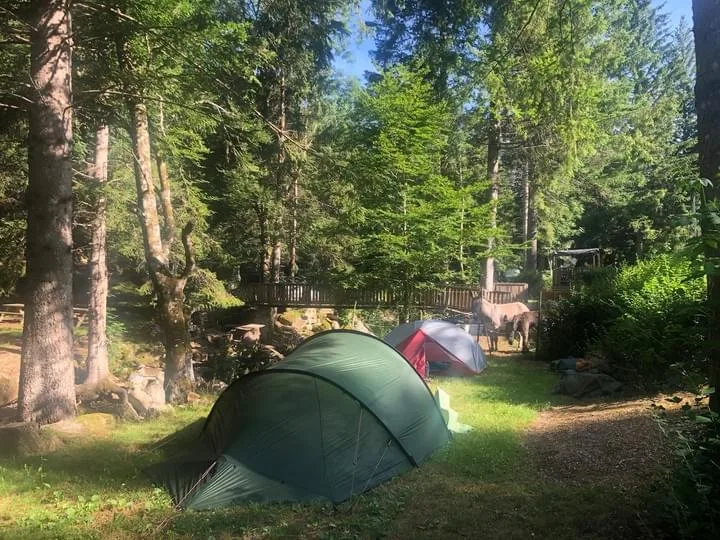 Camping Le Térondel in Saint-Sauveur-Camprieu