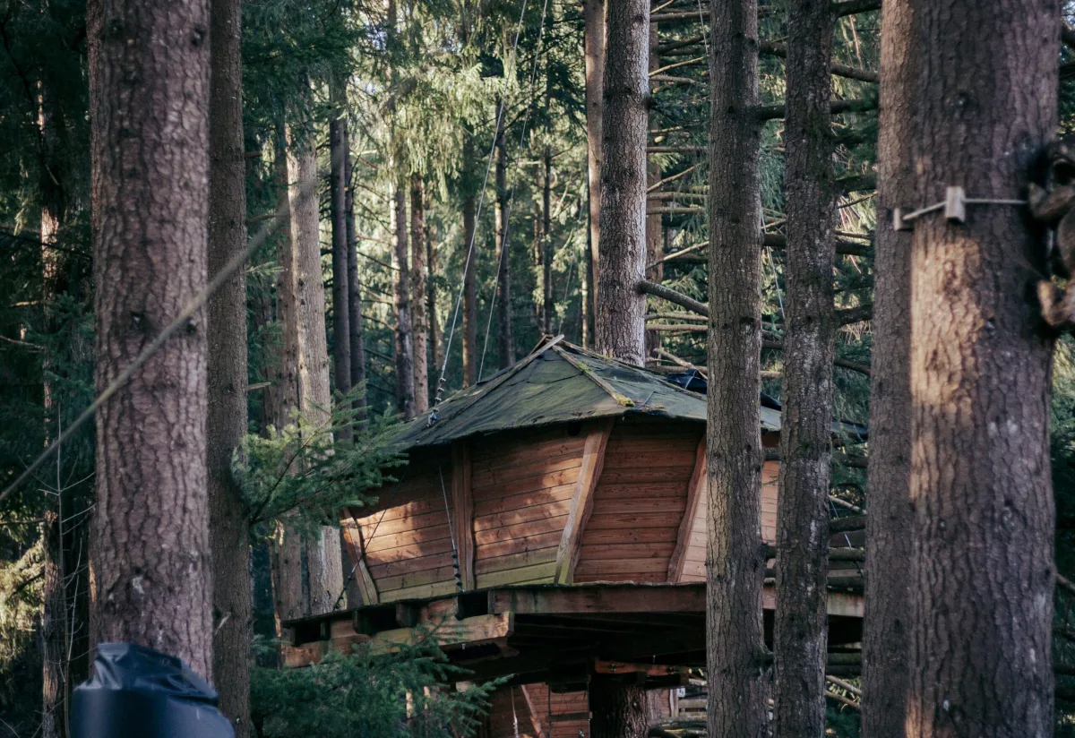 Camping Le Village Des Cabanes Perchees Du Lac Des Sapins in Cublize
