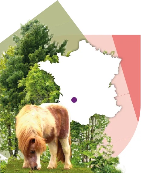 Camping Les Arbousiers in Andernos-les-Bains