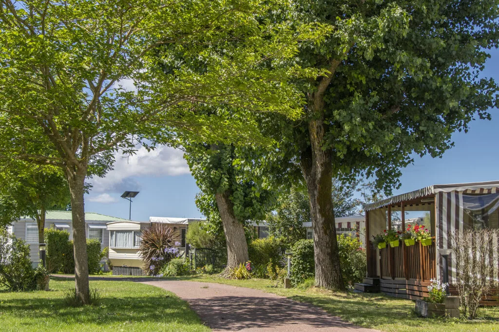 Camping Les Brandes — Saint-Georges-De-Didonne
